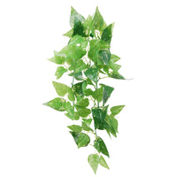 Eco Tech Hanging Honey Ivy Terrarium Plant - 45cm | PeekAPaw Pet Supplies