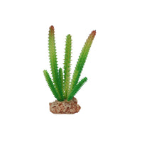 Eco Tech Desert Cactus Terrarium Plant 16cm | PeekAPaw Pet Supplies