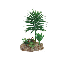 Eco Tech Umbrella Cactus Terrarium Plant - Single 16cm | PeekAPaw Pet Supplies