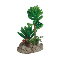 Eco Tech Twin Cactus Unit Terrarium Plant 12cm | PeekAPaw Pet Supplies