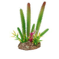 Eco Tech Multi Desert Cactus With Plant & Rock Terrarium Plant 15cm | PeekAPaw Pet Supplies