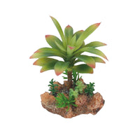 Eco Tech Flowering Cajun Cactus Terrarium Plant 13cm | PeekAPaw Pet Supplies