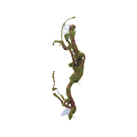 Eco Tech Twisted Vine With Moss Ball Terrarium Plant 40cm | PeekAPaw Pet Supplies