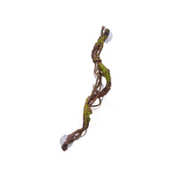 Eco Tech Multiple Vines With Moss Lichen Terrarium Plant 60cm | PeekAPaw Pet Supplies