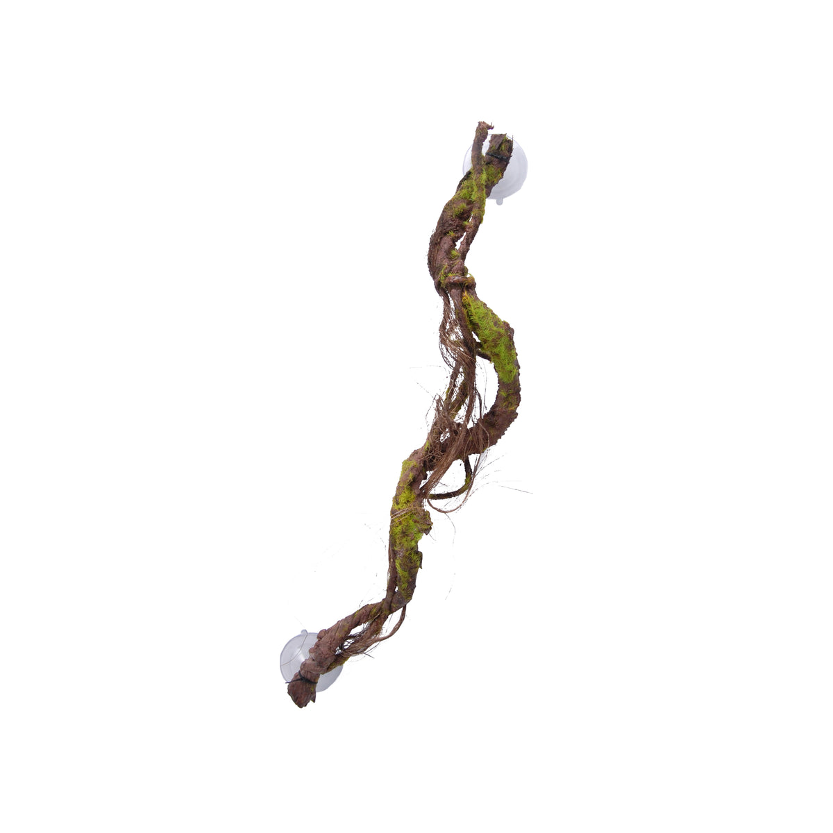 Eco Tech Multiple Vines With Moss Lichen Terrarium Plant 60cm | PeekAPaw Pet Supplies