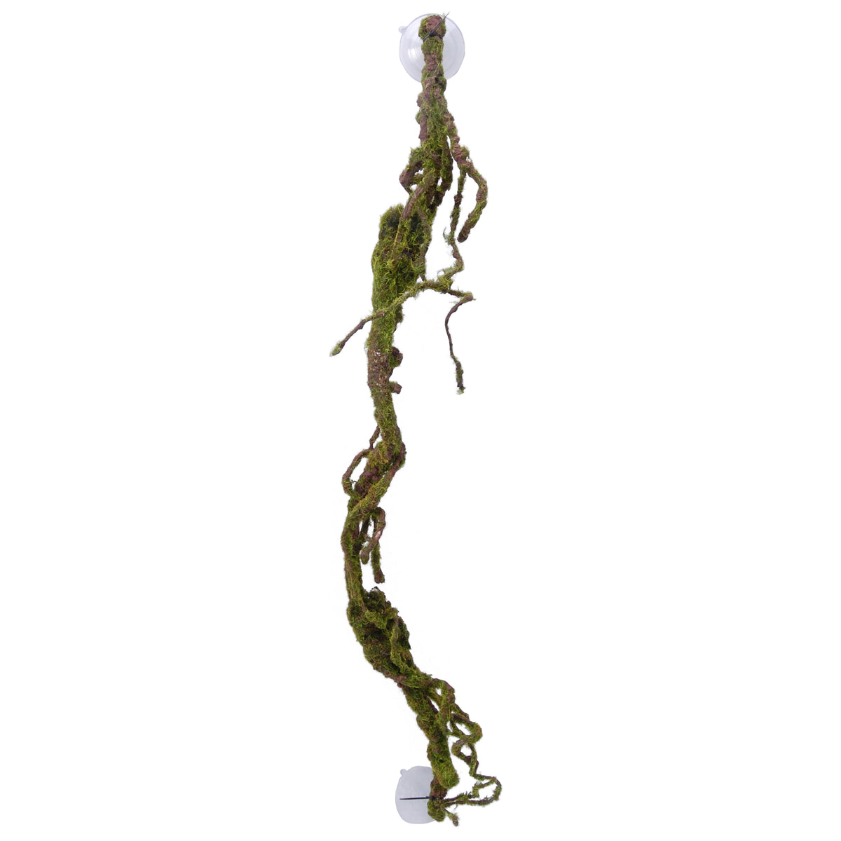 Eco Tech Multiple Twist Vines With Moss Lichen Terrarium Plant 80cm | PeekAPaw Pet Supplies
