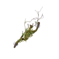 Eco Tech Large Vine Cluster With Moss Lichen Terrarium Plant | PeekAPaw Pet Supplies