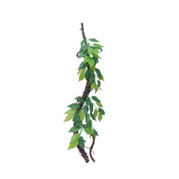 Eco Tech Vine With Ficus Growth Terrarium Plant | PeekAPaw Pet Supplies