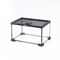 Eco Tech Glass Terrarium - 30 x 20 x 18cm | PeekAPaw Pet Supplies
