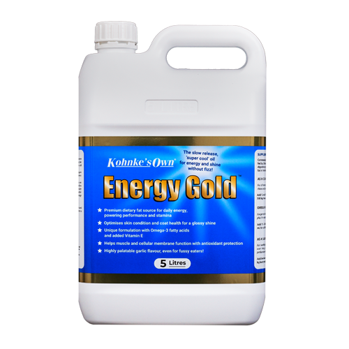 Kohnke's Own Energy Gold horse oil 5L bottle