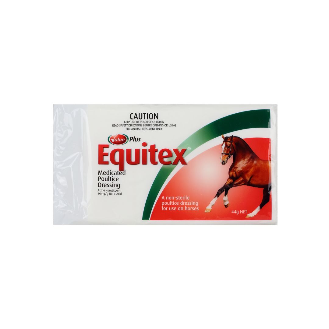 Value Plus Equitex medicated poultice dressing single pack