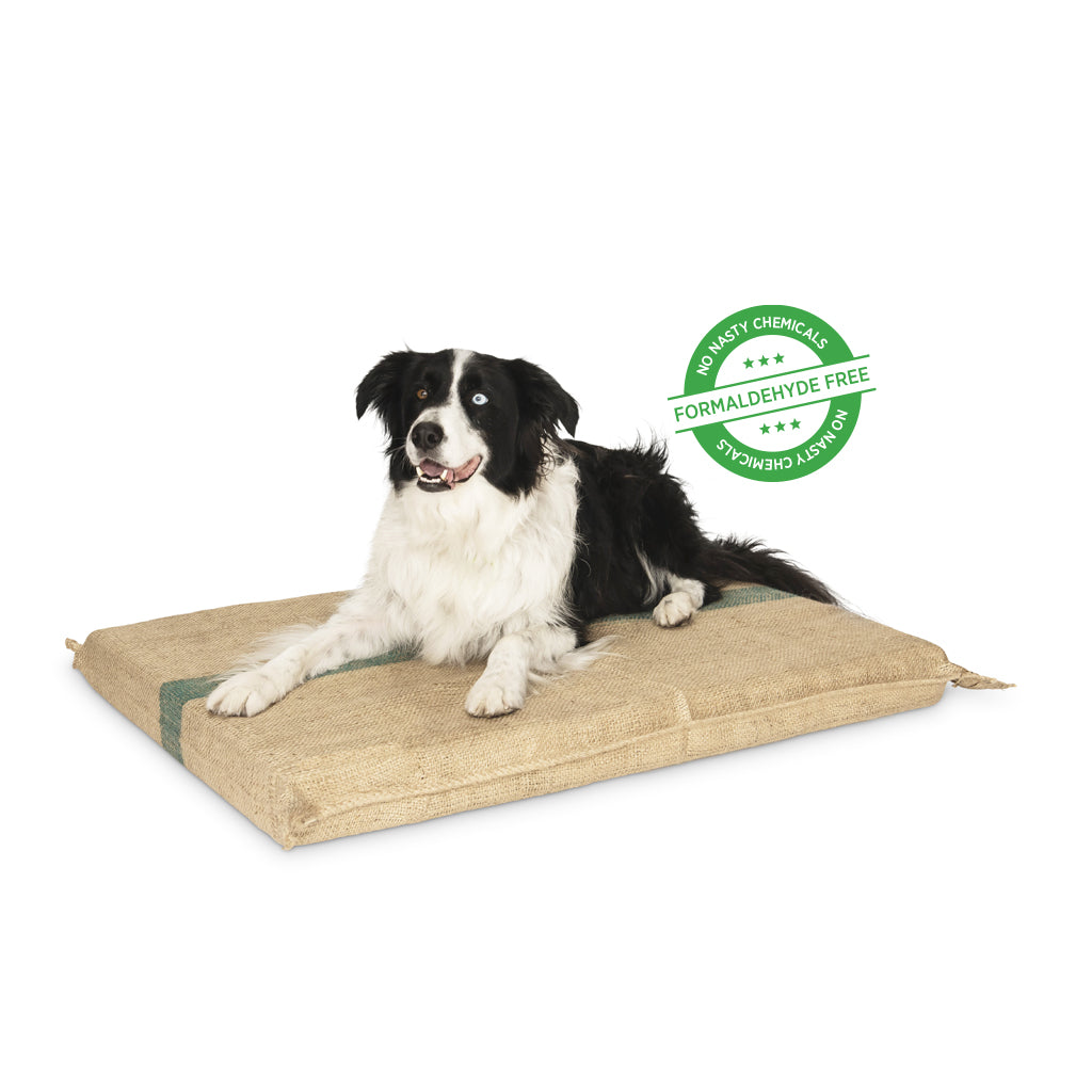 A border collie lying on the Superior Pet Goods Extra Thick Hessian Dog Mat, formaldehyde-free badge