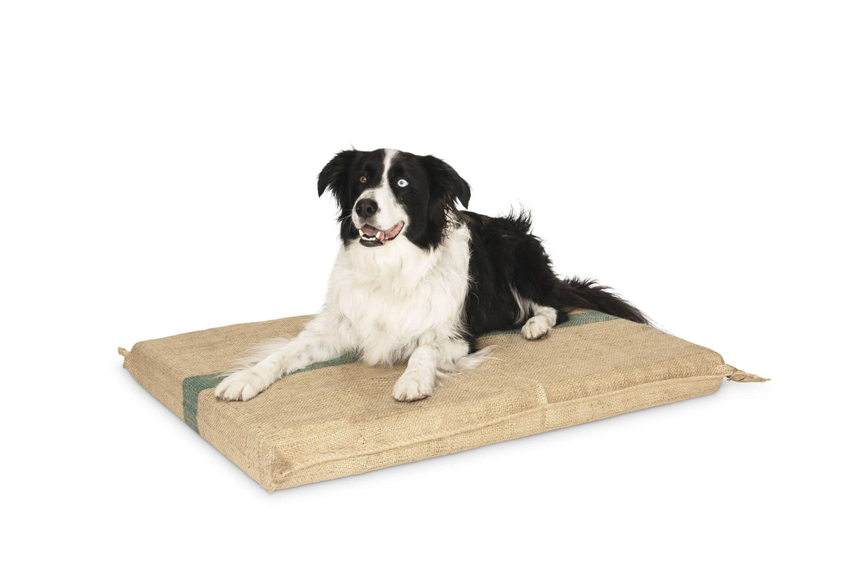 A border collie lying on the Superior Pet Goods Extra Thick Hessian Dog Mat