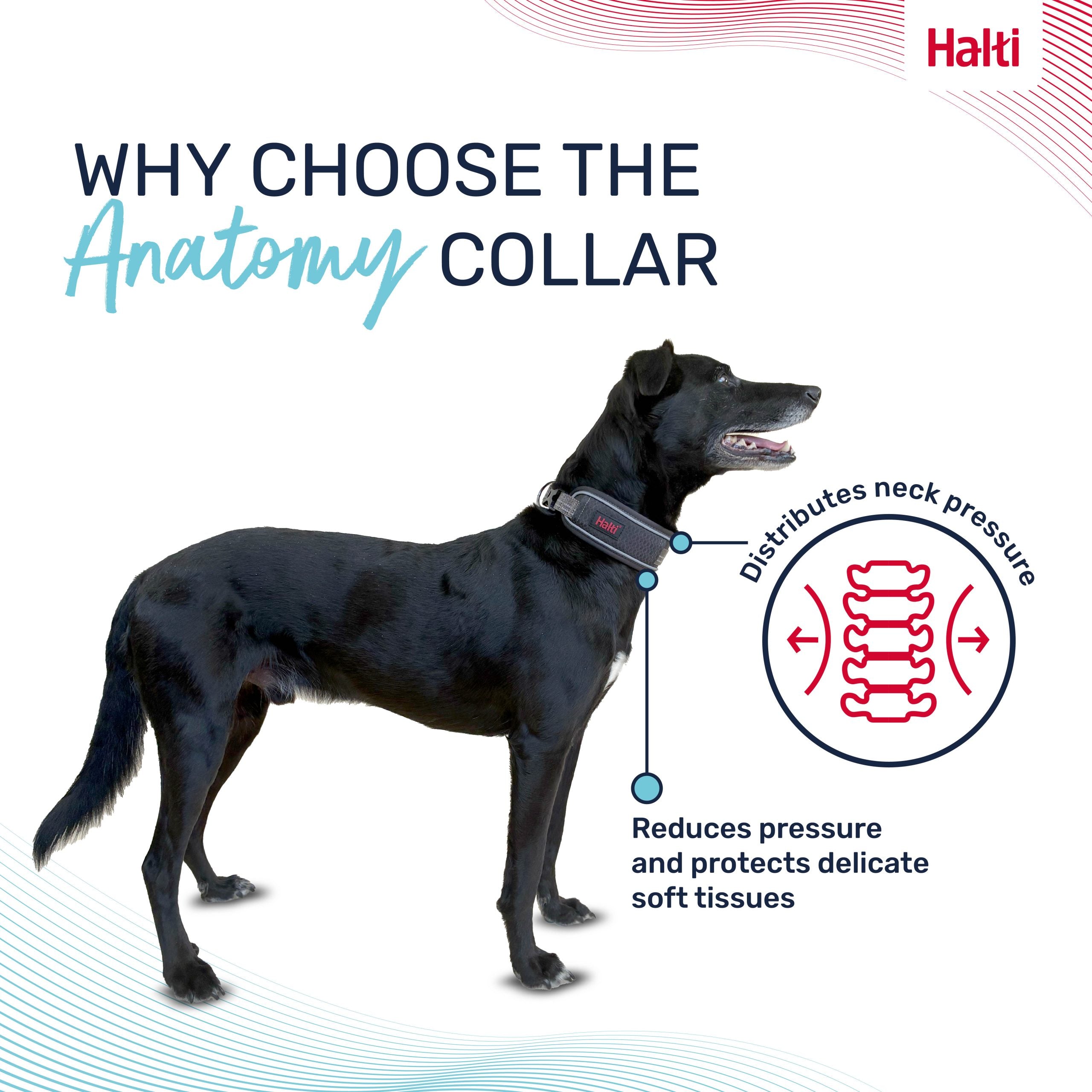Halti Anatomy Collar – how the wide design spreads pressure across the neck | PeekAPaw