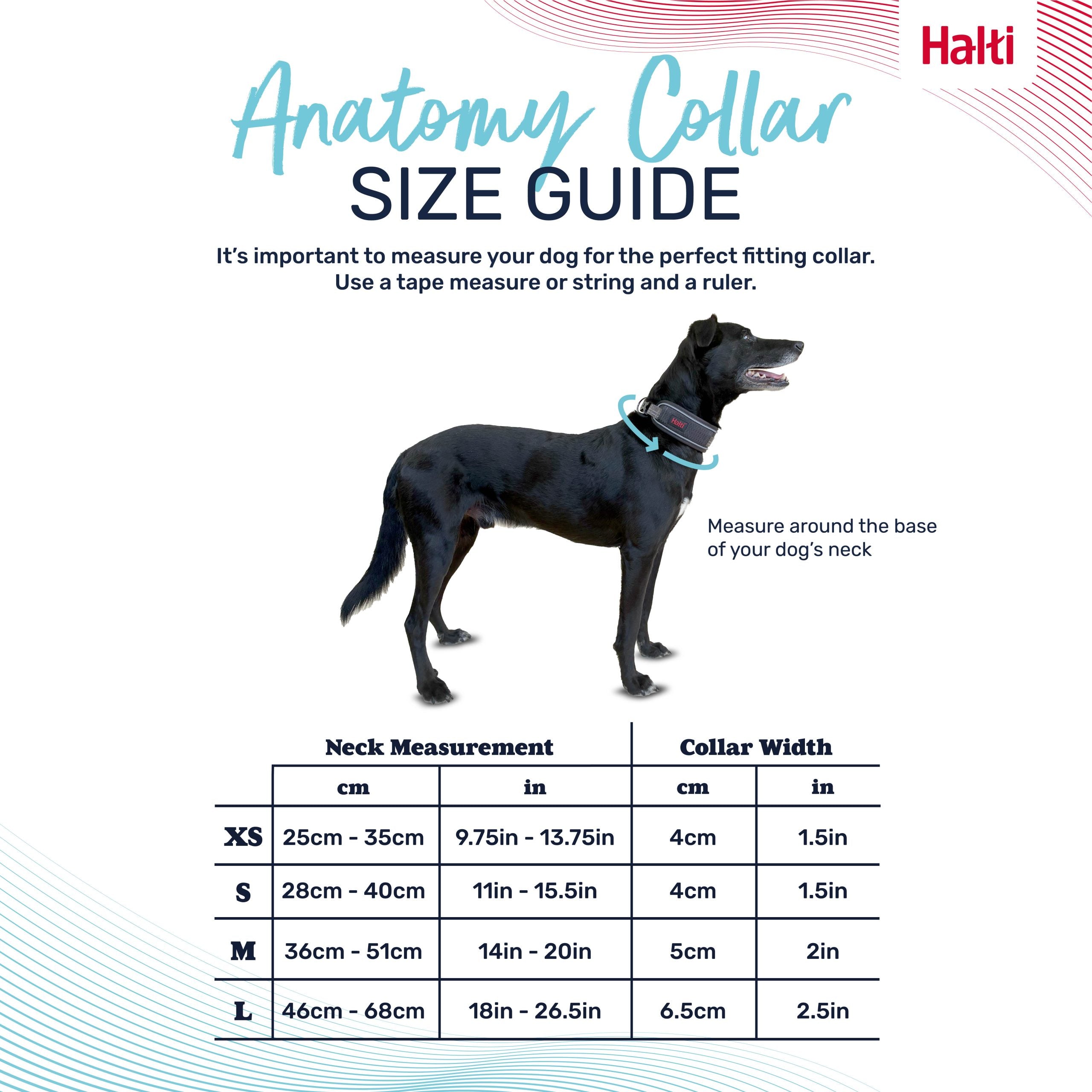 Halti Anatomy Collar size guide – neck measurements and collar widths XS to L | PeekAPaw