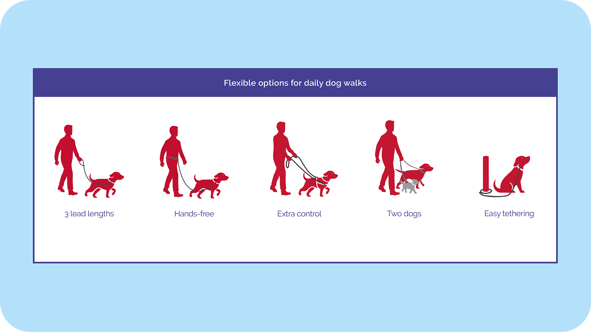 Halti Double Ended Lead usage options – close control, long line, hands-free and two dogs | PeekAPaw