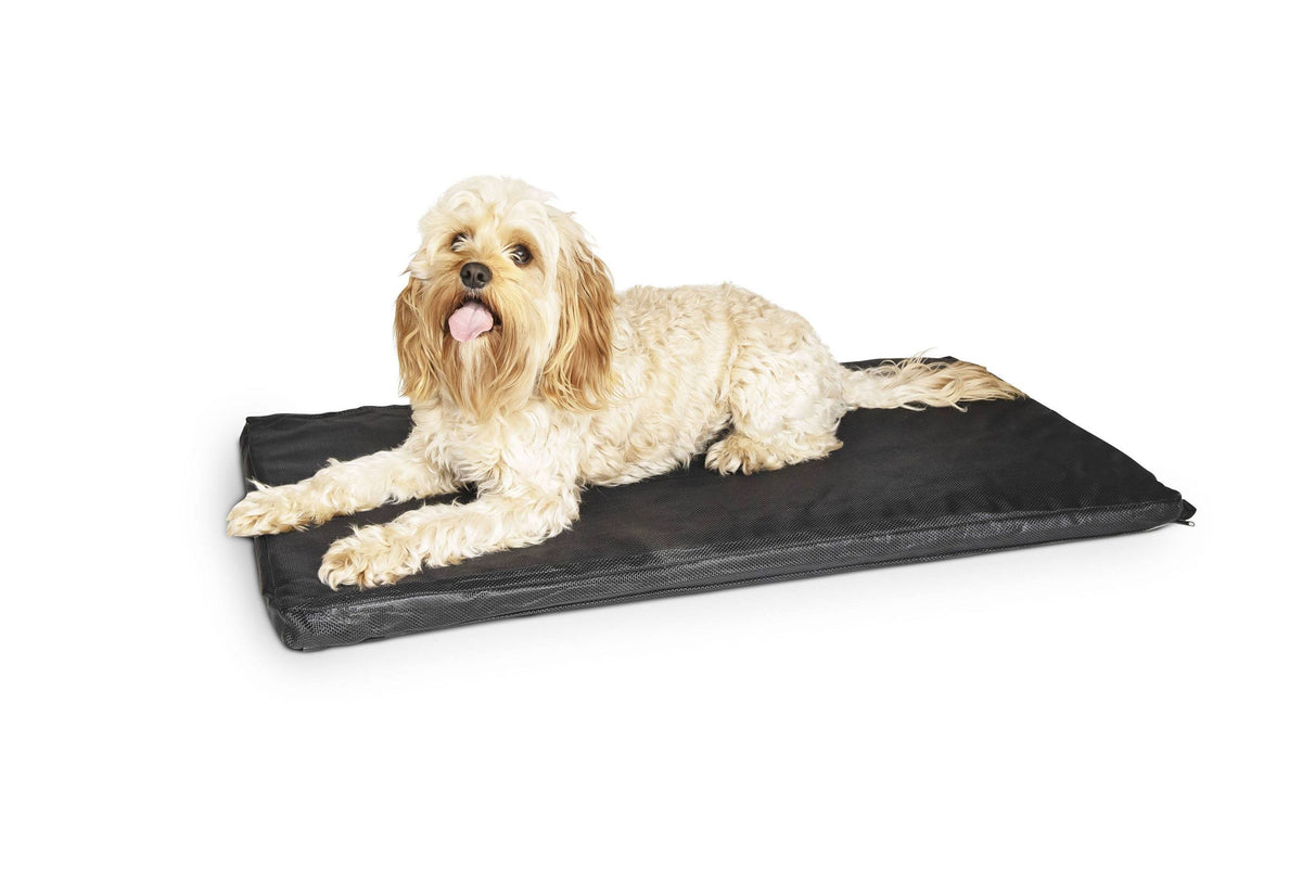 A cream curly-coated dog lying on a Superior Pet Goods Heavy Duty Flea-Free Dog Mat