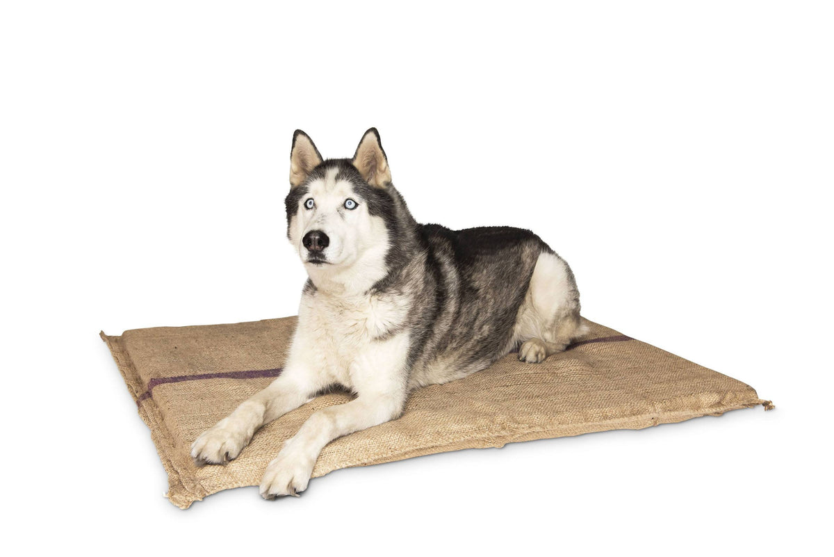 A husky lying on a Superior Pet Goods Hessian Dog Mat with a jute cover