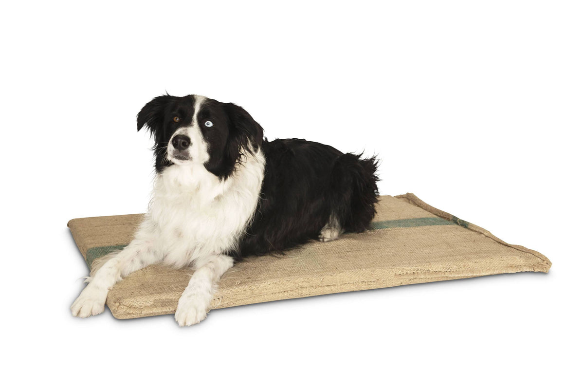 A border collie lying on a Superior Pet Goods Hessian Dog Mat