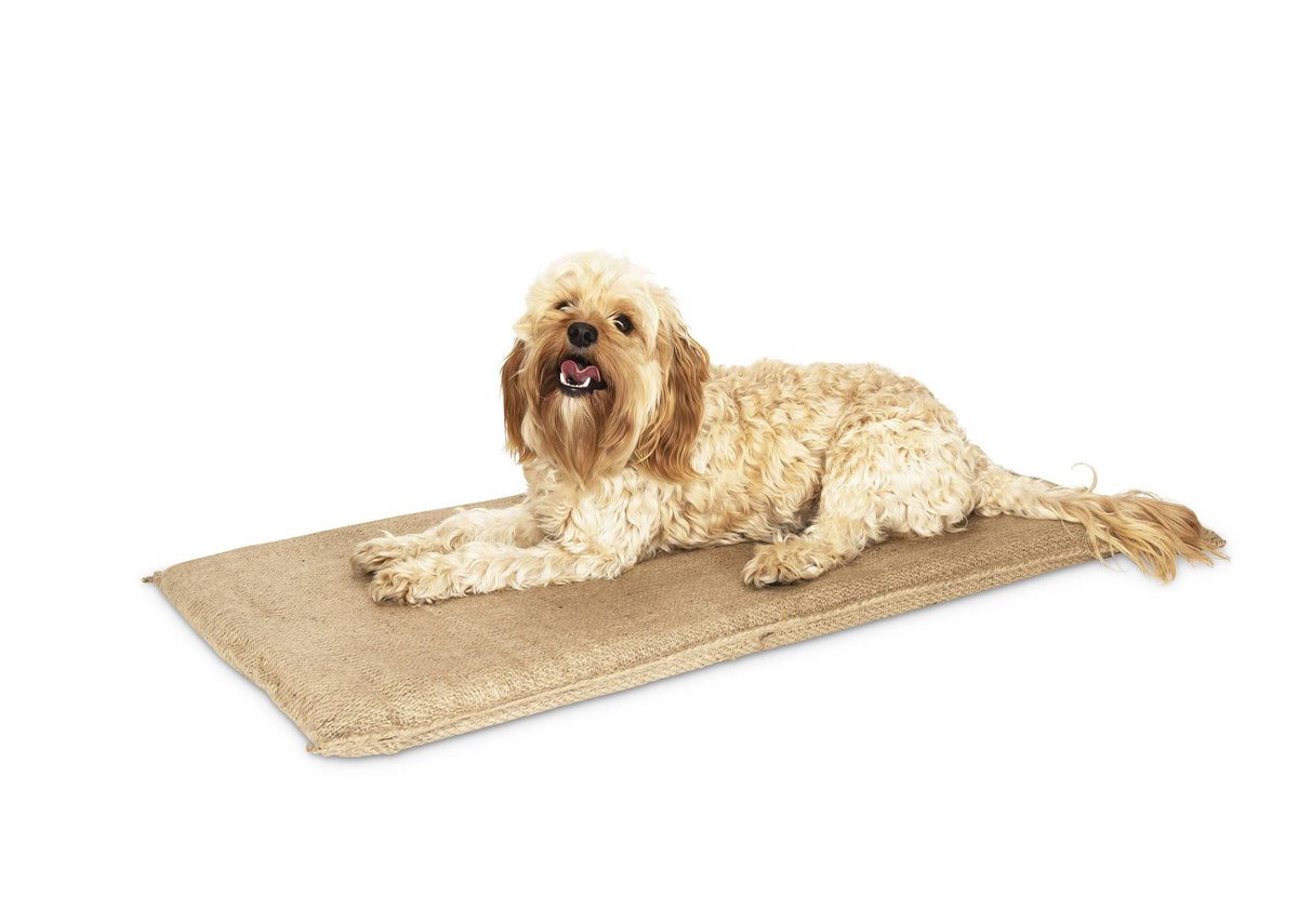A cream curly-coated dog lying on a Superior Pet Goods Hessian Dog Mat