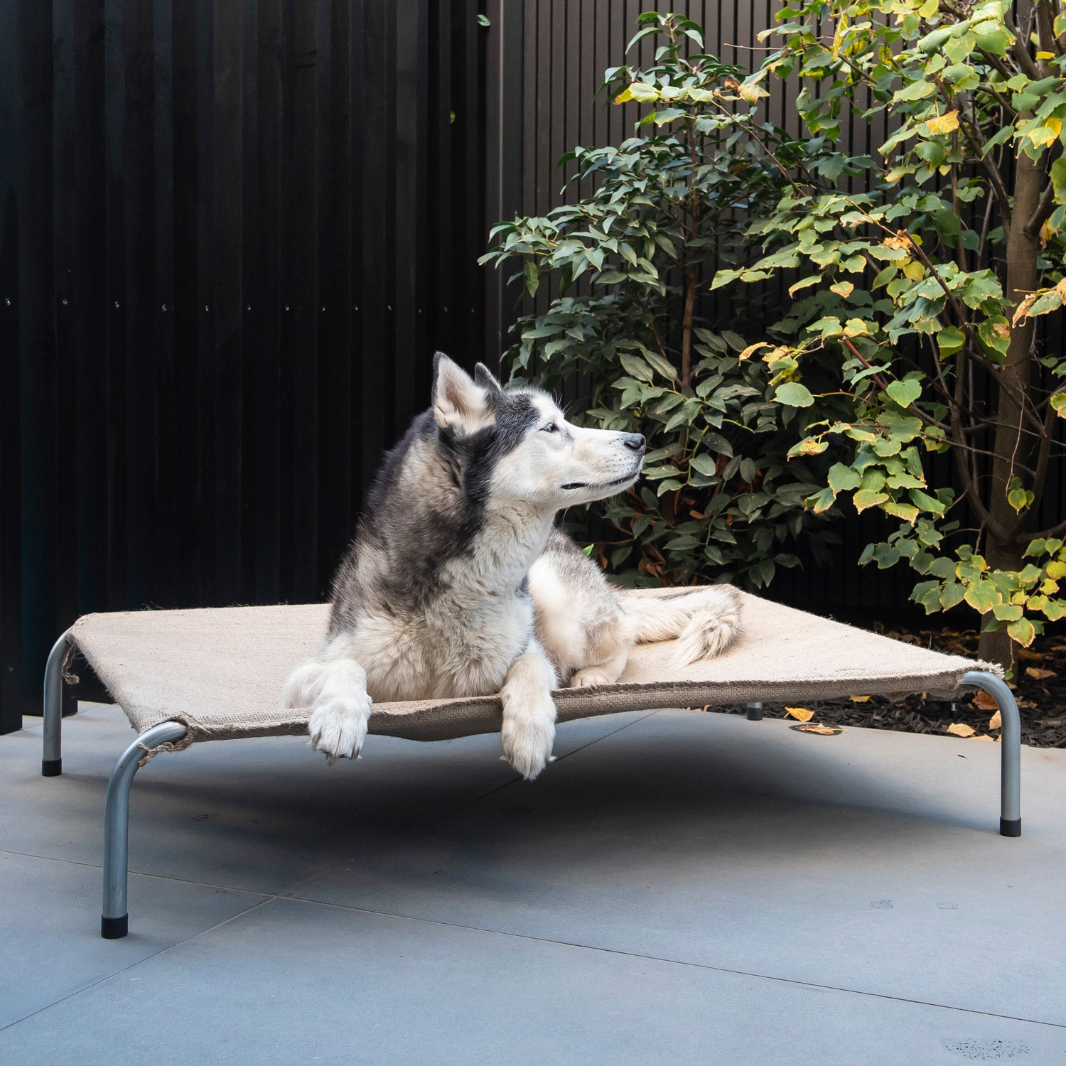 Superior Pet Goods steel framed hessian raised dog bed