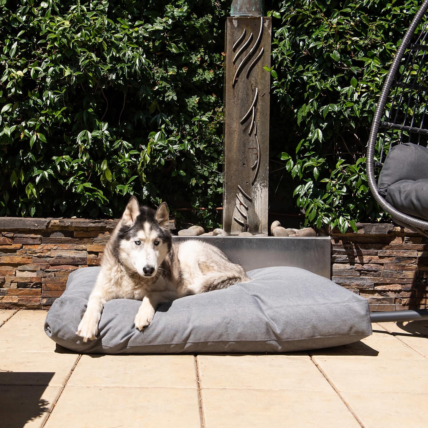 Husky resting on a Superior Pet Goods Hooch Dog Cushion Eco Tough