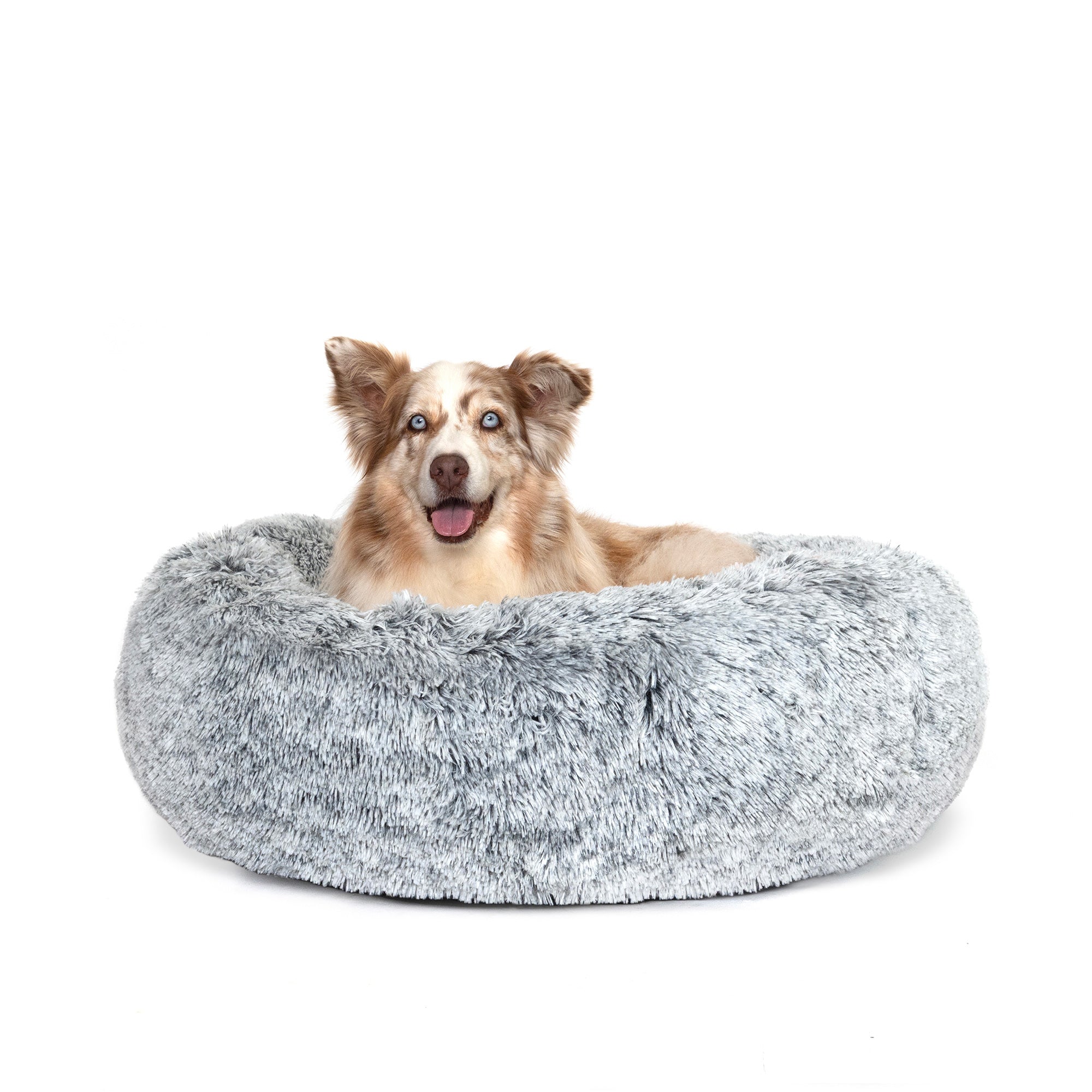 Dog curled up in a Superior Pet Goods Hugzzz Ortho Curl Up Cloud Calming Dog Bed in Dove Grey