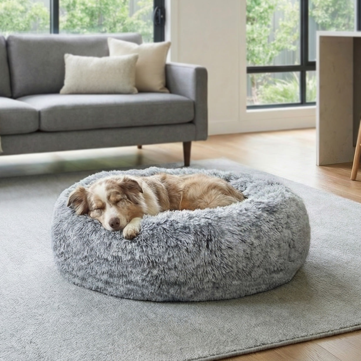 Superior Pet Goods Hugzzz Ortho Curl Up Cloud Calming Dog Bed in Dove Grey in a home setting