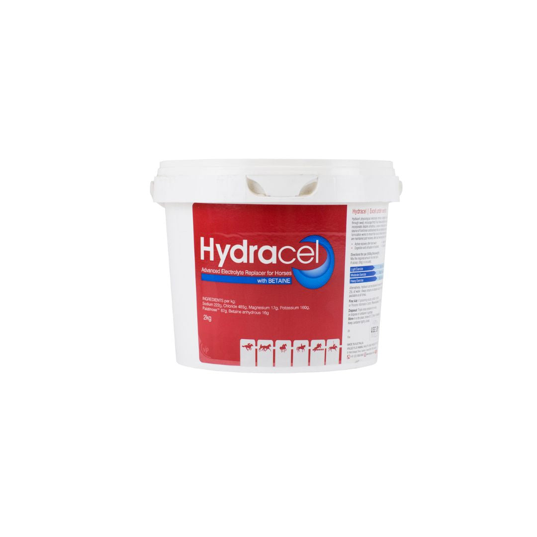 Value Plus Hydracel advanced electrolyte replacer 2kg tub