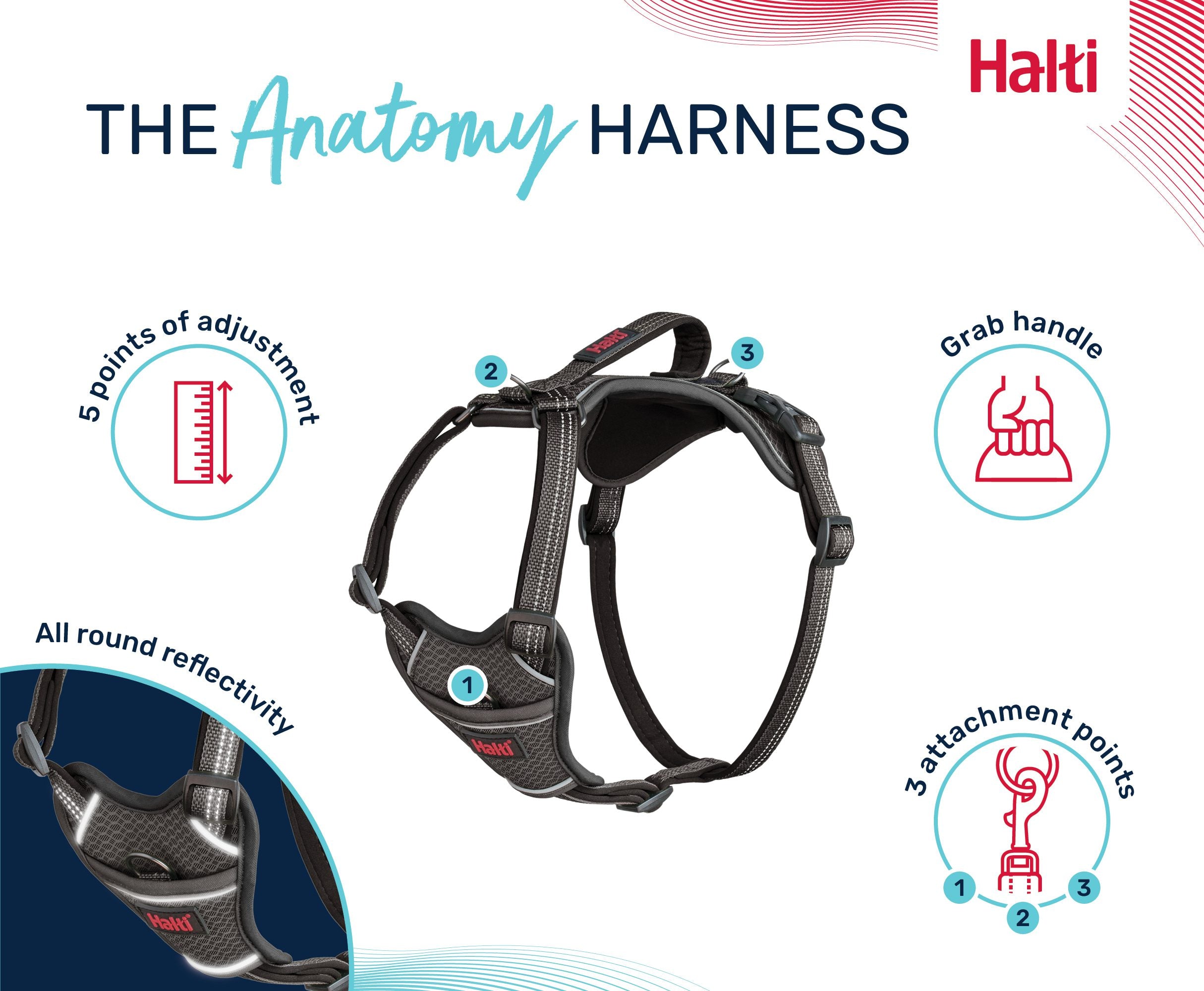 Halti Anatomy Harness features – three lead attachment points, grab handle and five adjusters | PeekAPaw