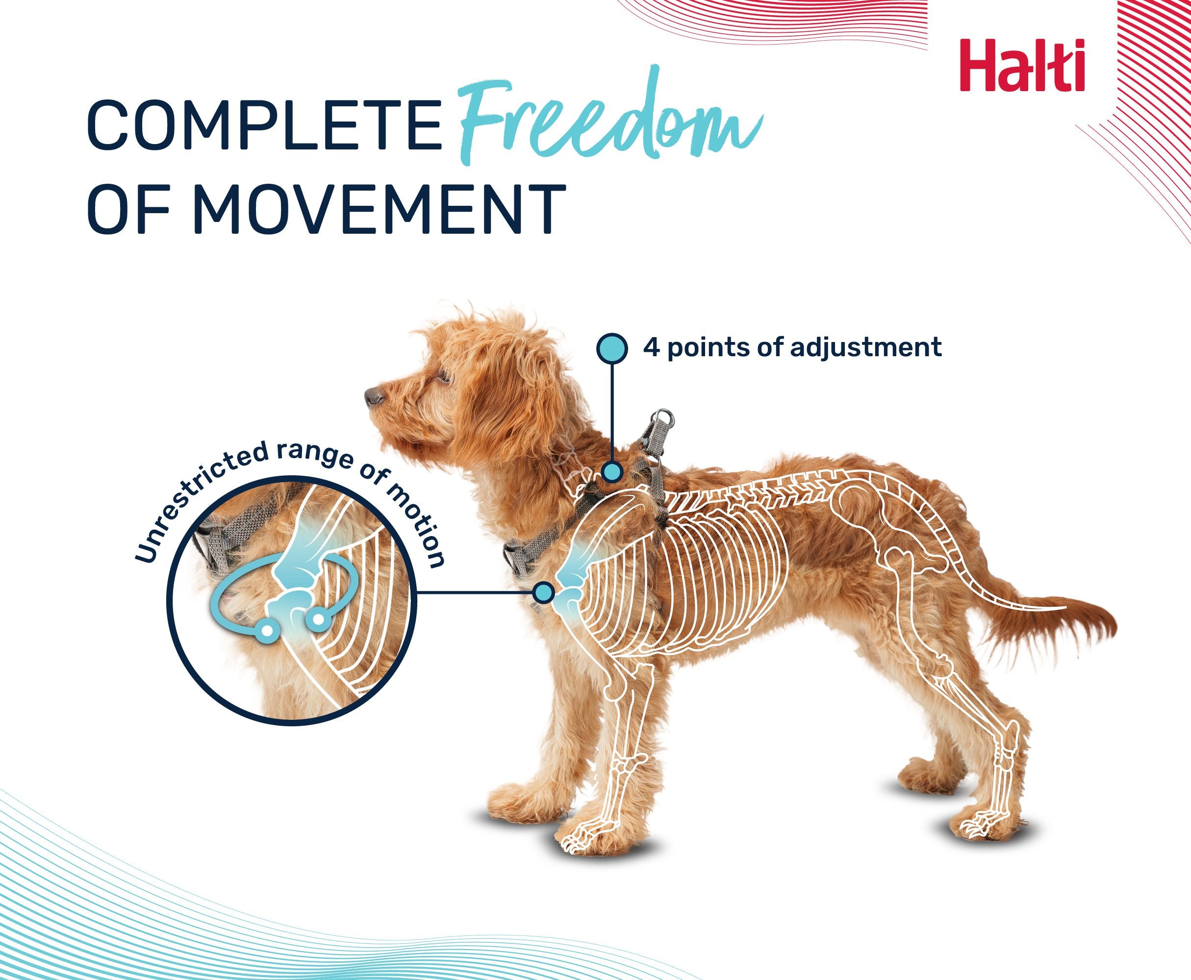 Halti Anatomy Puppy Harness – scalloped chest pad leaves the shoulder free | PeekAPaw