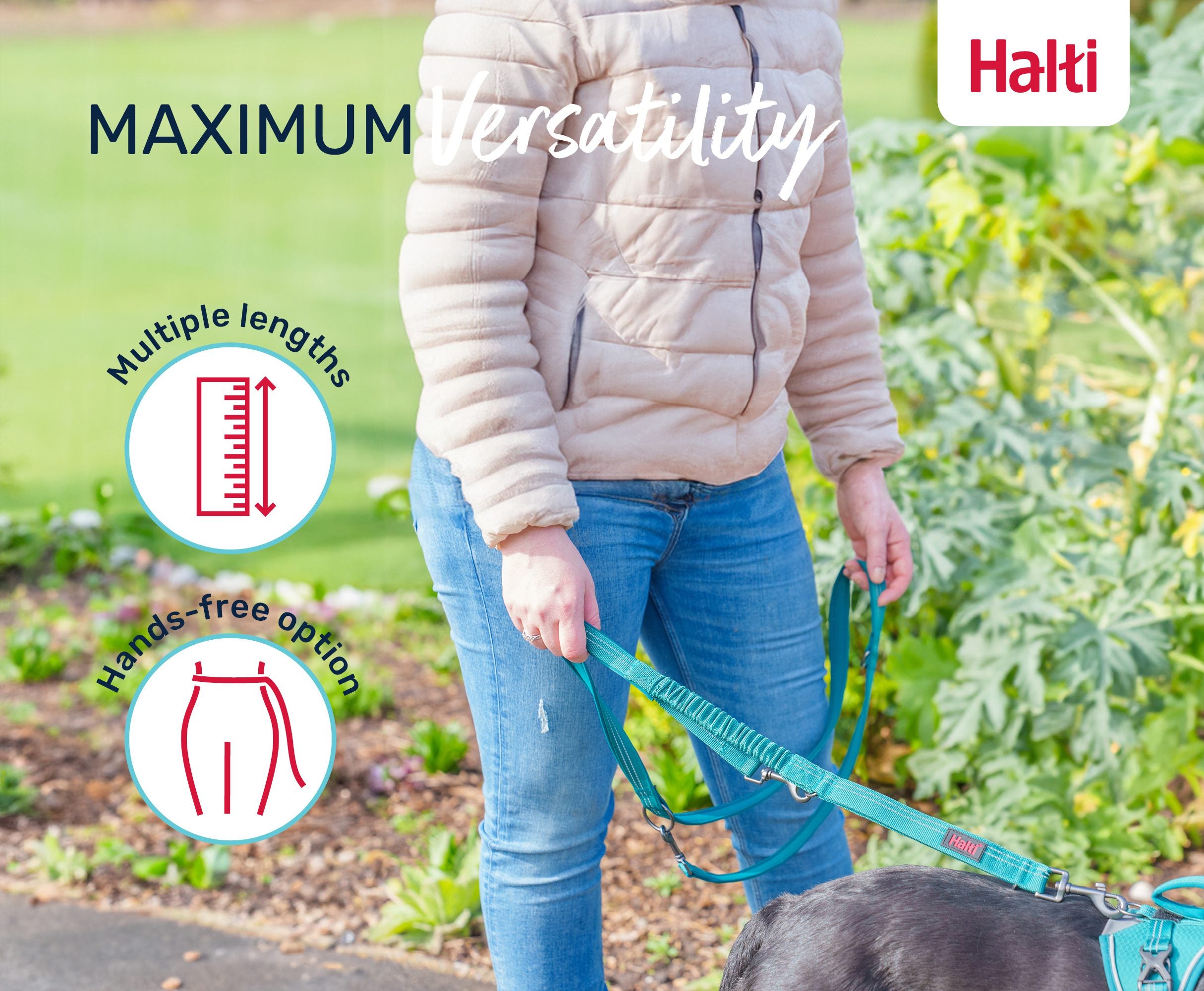 Halti Anatomy Multi Lead – reflective detailing for low-light walks | PeekAPaw