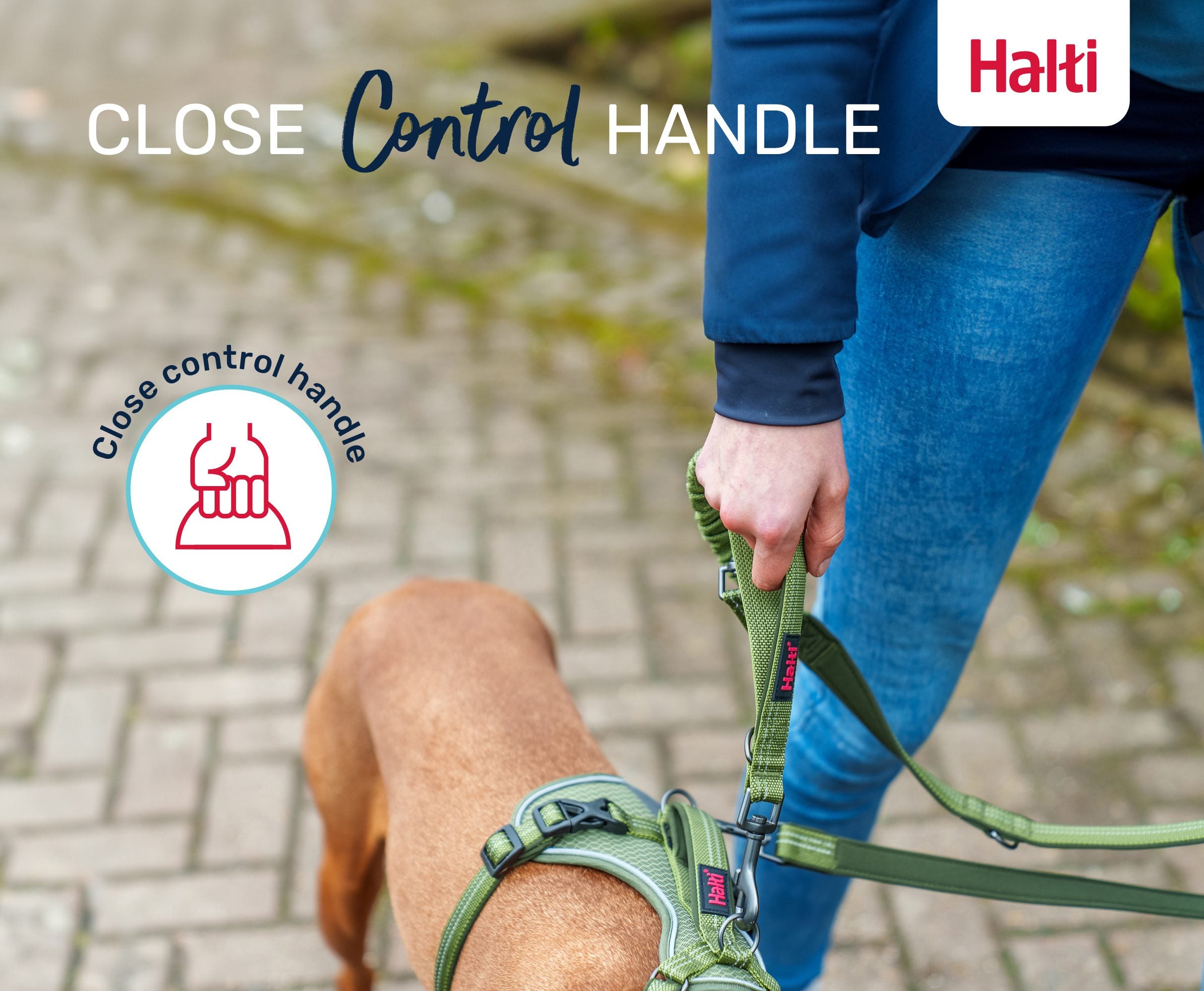 Halti Anatomy Multi Lead – close control handle in use | PeekAPaw