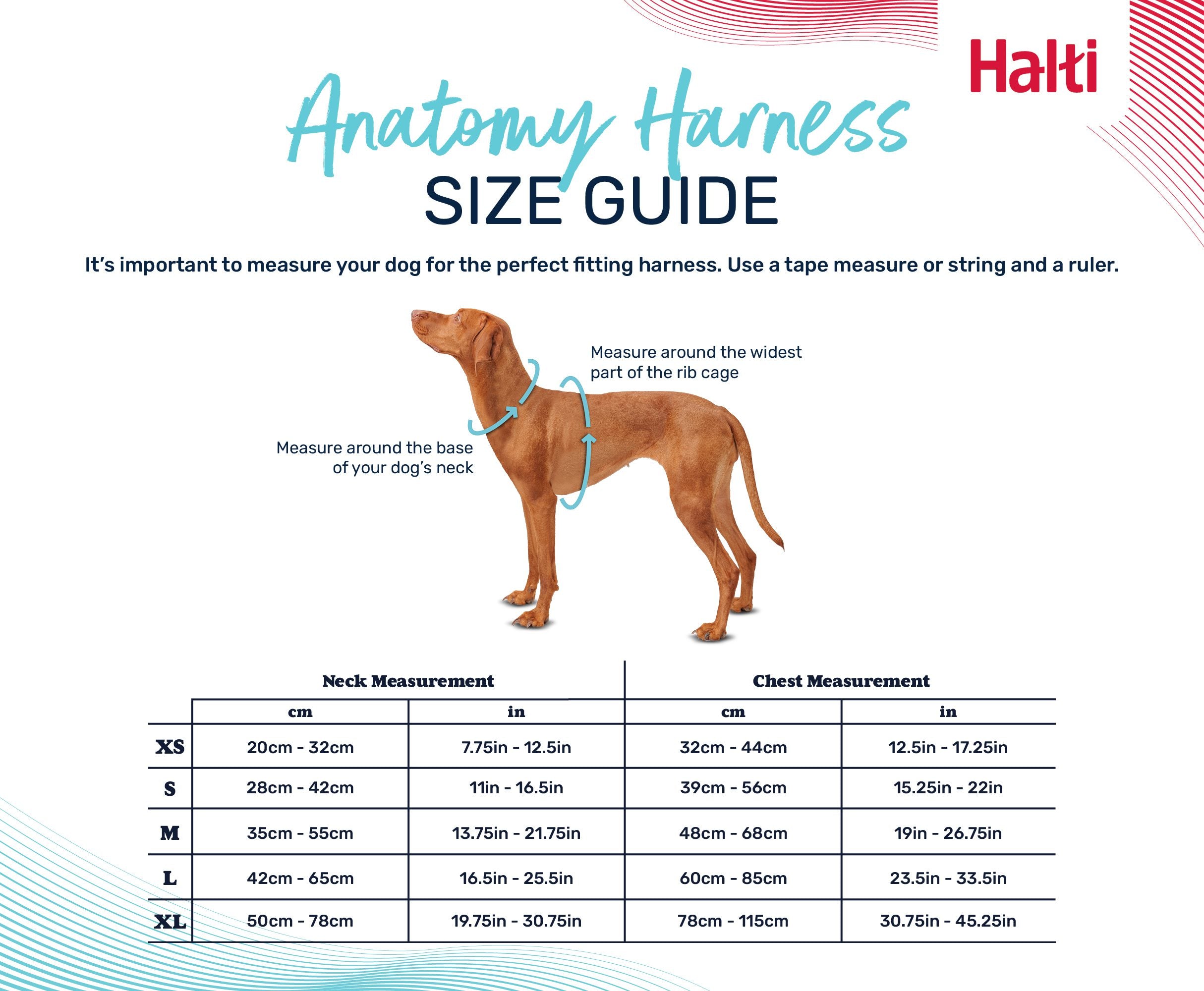 Halti Anatomy Harness size guide – neck and chest measurements XS to XL | PeekAPaw