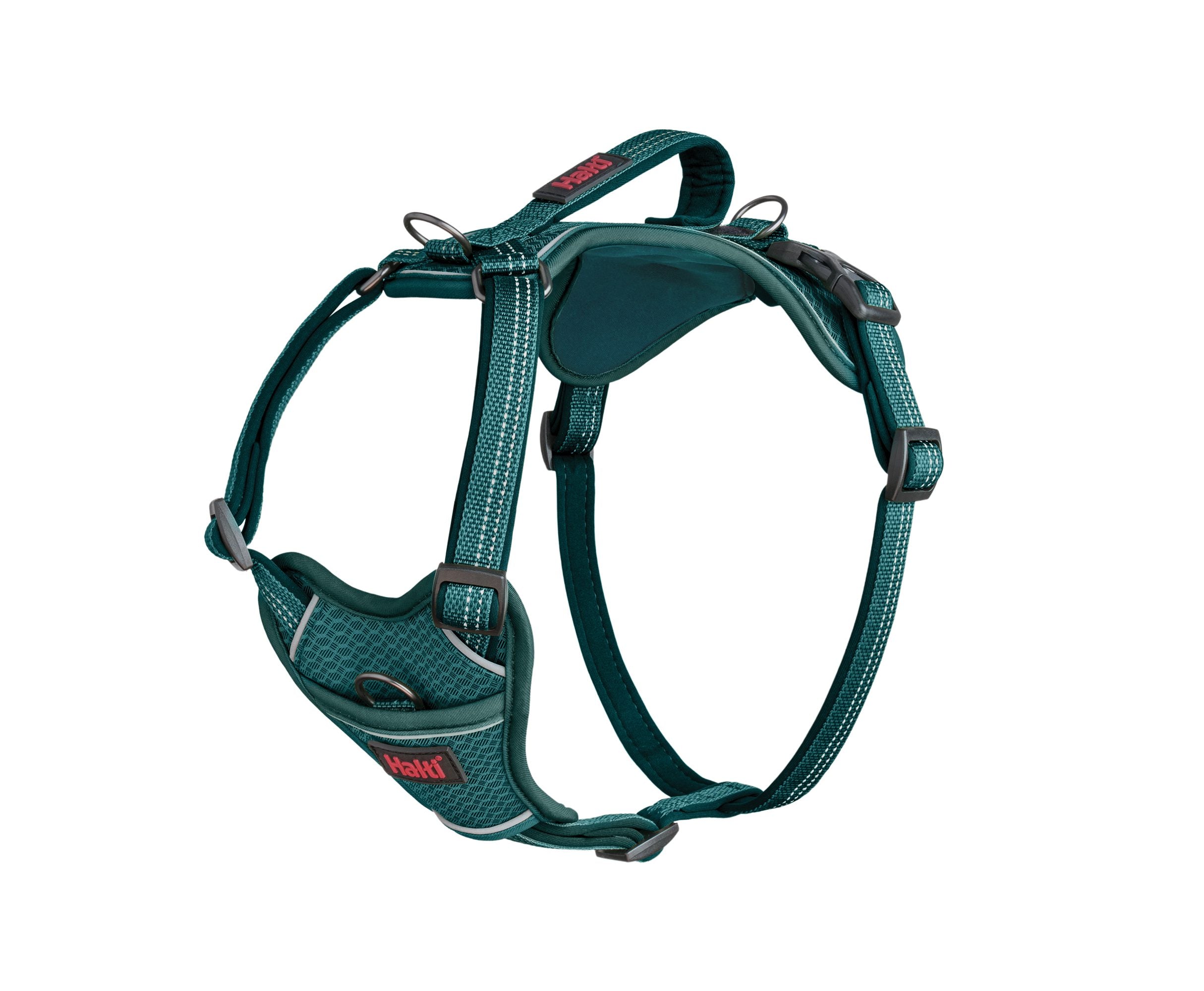 Halti Anatomy Harness in teal – padded no-pull dog harness | PeekAPaw