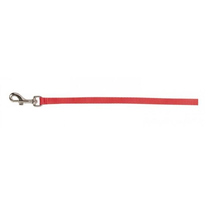 Prestige Pet Cat & Puppy Leash - 122cm Red