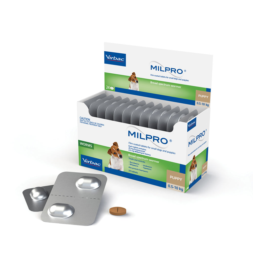 Milpro allwormer for puppies and small dogs 0.5-5kg – 24 tablet dispenser box with blister strip