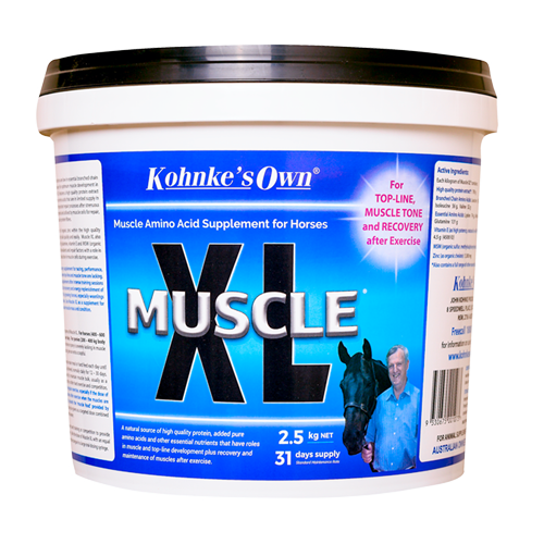 Kohnke's Own Muscle XL horse topline supplement 2.5kg pack