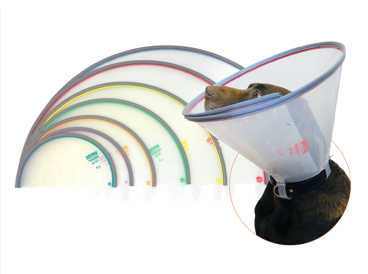 Genia Neocol Elizabethan collar with neoprene edge