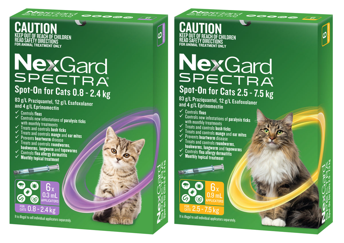 Both NexGard Spectra Spot-On for Cats cartons side by side, smaller and larger weight bands