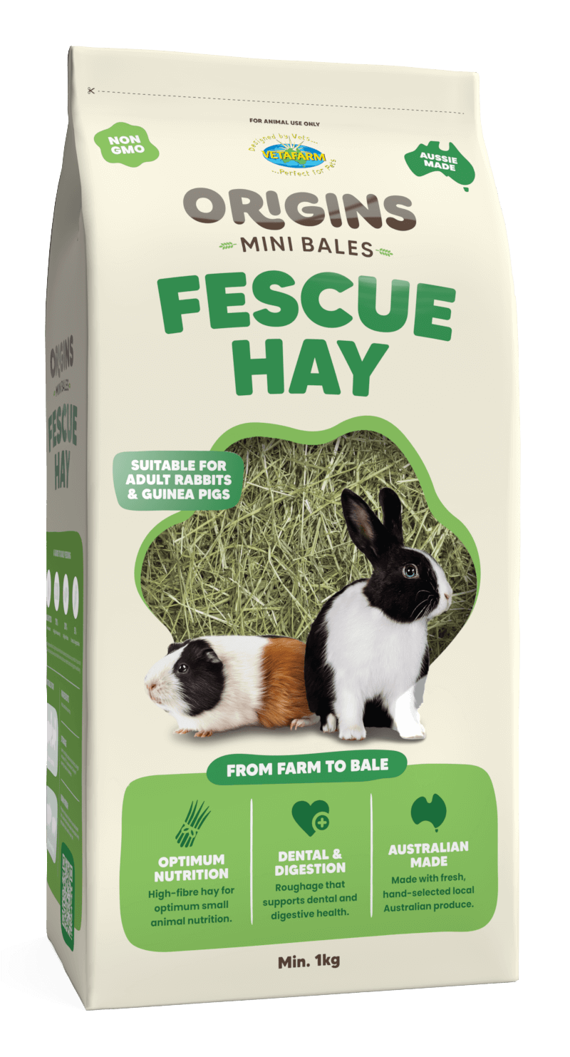Vetafarm Origins Mini Bale Fescue Hay 1kg – angled side view of pack