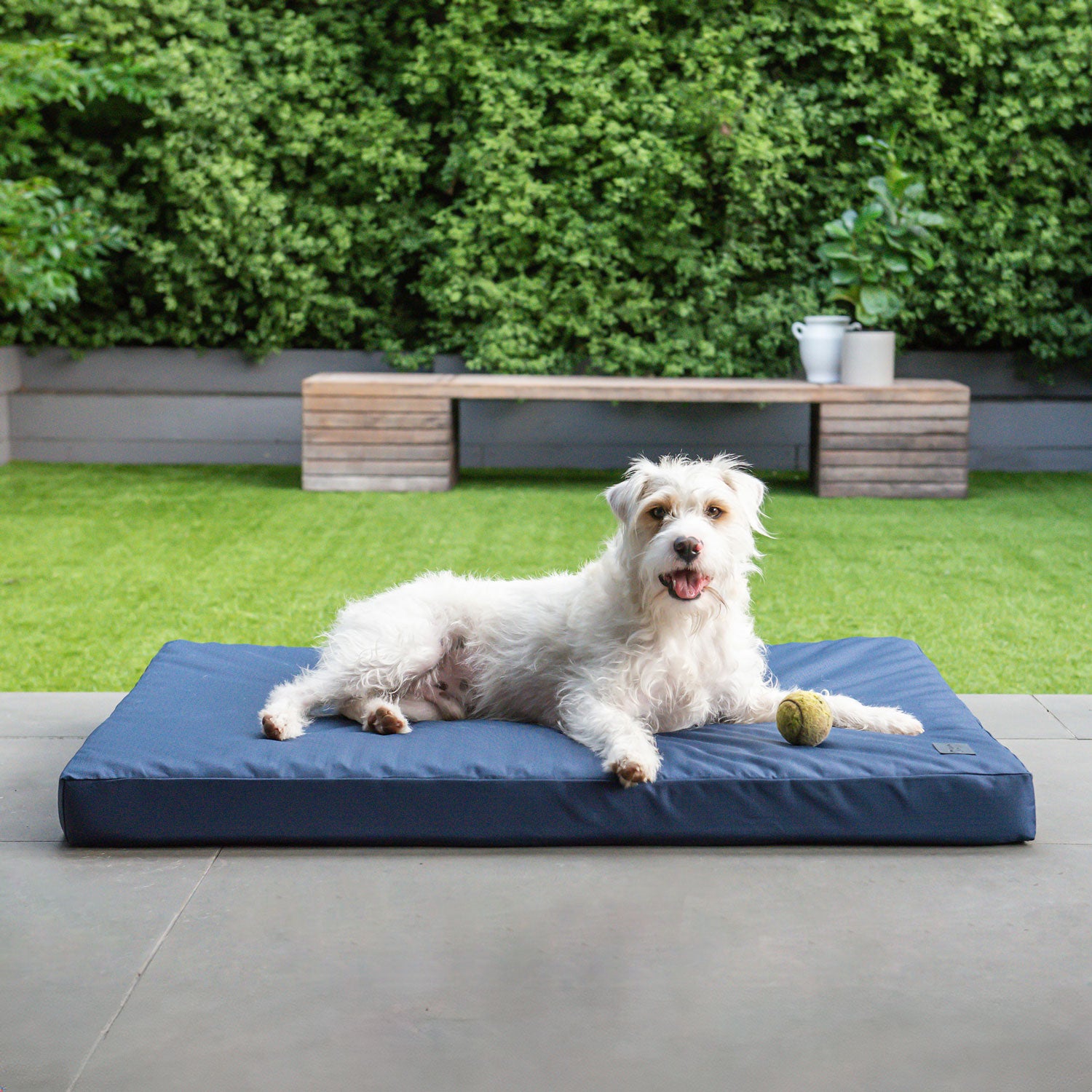 Superior Pet Goods Ortho Dog Mat Ripstop in Bondi Blue