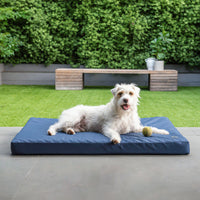 A white terrier lying on a Superior Pet Goods Ortho Dog Mat Ripstop in Bondi Blue outdoors