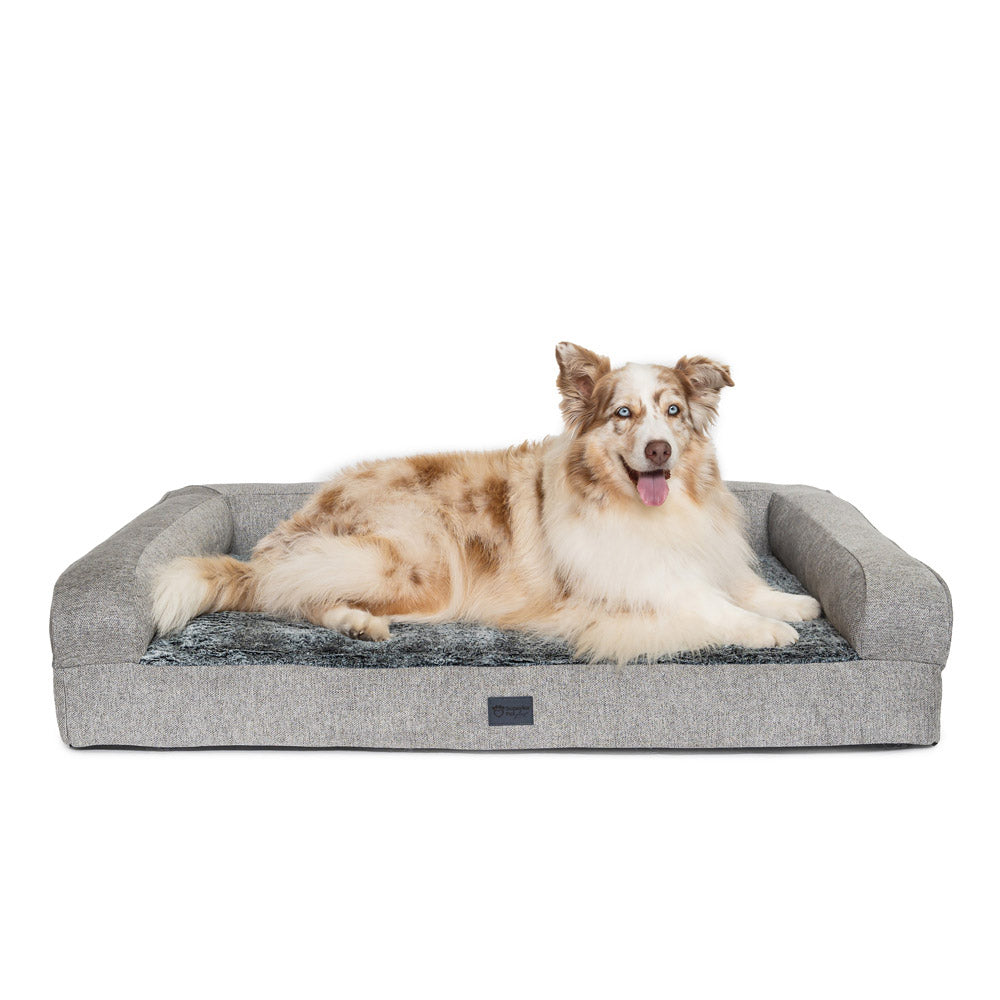 Australian Shepherd lying on a Superior Pet Goods Orthopaedic Pet Sofa in Large