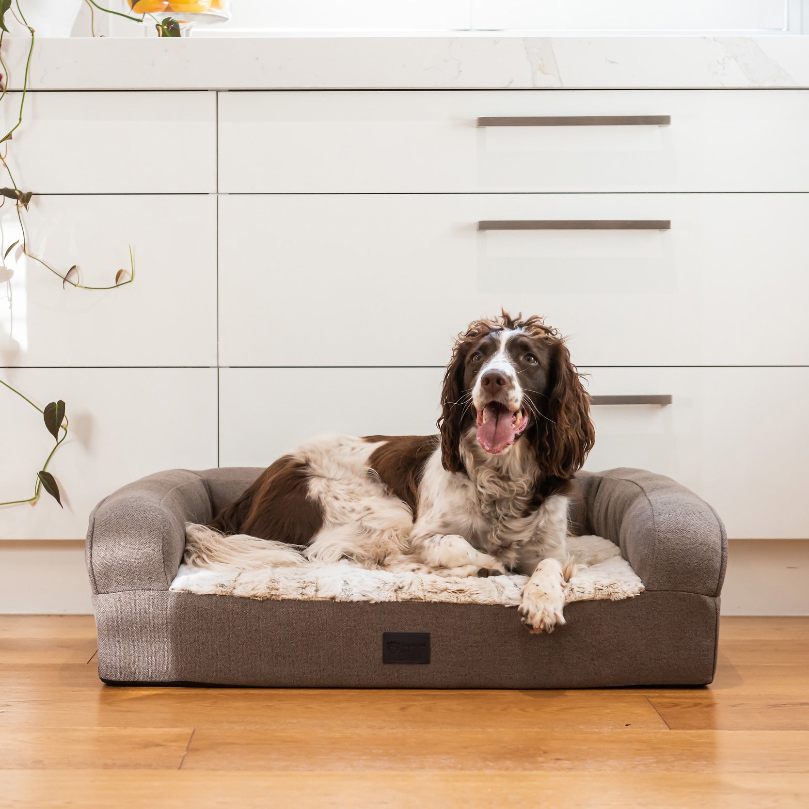 Superior Pet Goods Orthopaedic Pet Sofa in Light Brindle