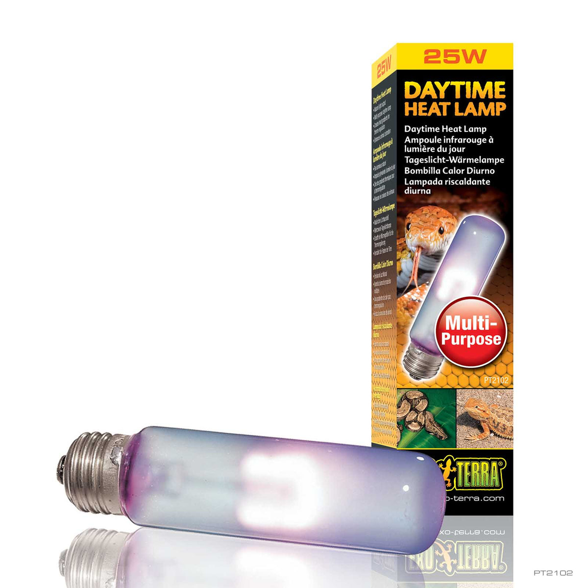 Exo Terra Day Glo Daytime Heat Lamp 25W neodymium daylight bulb | PeekAPaw Pet Supplies