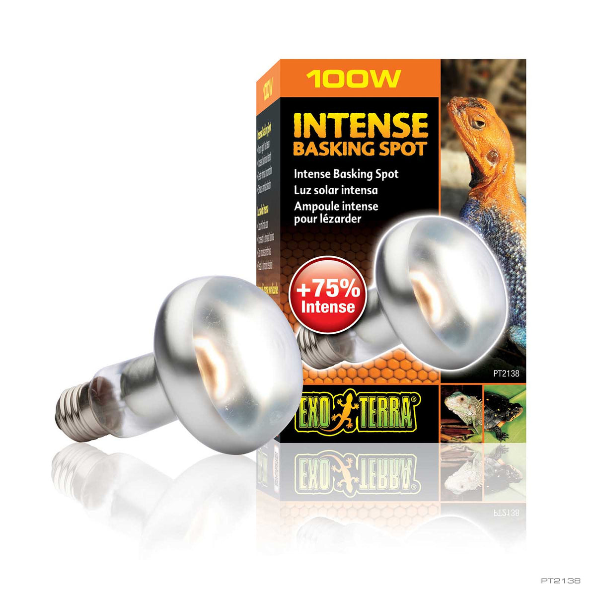 Exo Terra Intense Basking Spot Lamp 100W tight beam reflector bulb | PeekAPaw Pet Supplies