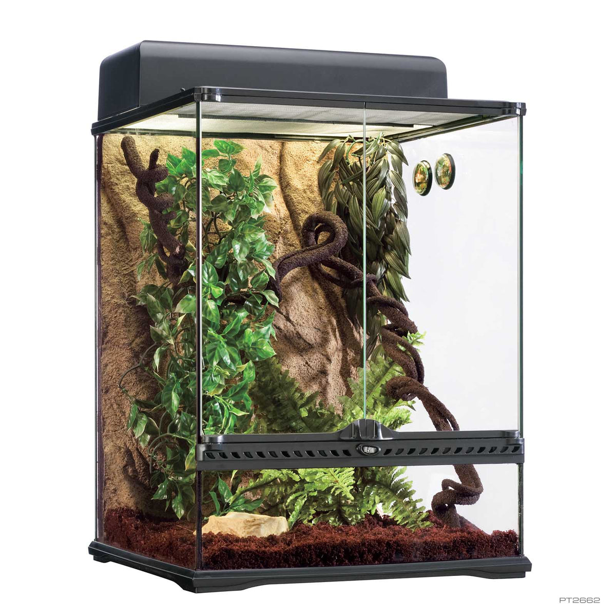 Exo Terra Rainforest Habitat Kit 45 x 45 x 60cm complete terrarium kit PT2662 | PeekAPaw Pet Supplies