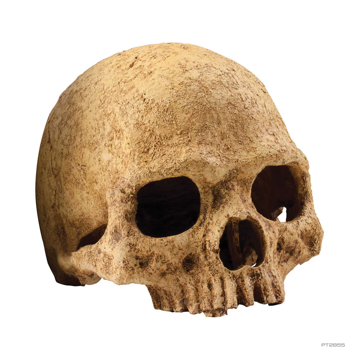 Exo Terra Primate Skull Hide Out Large PT2855 | PeekAPaw Pet Supplies