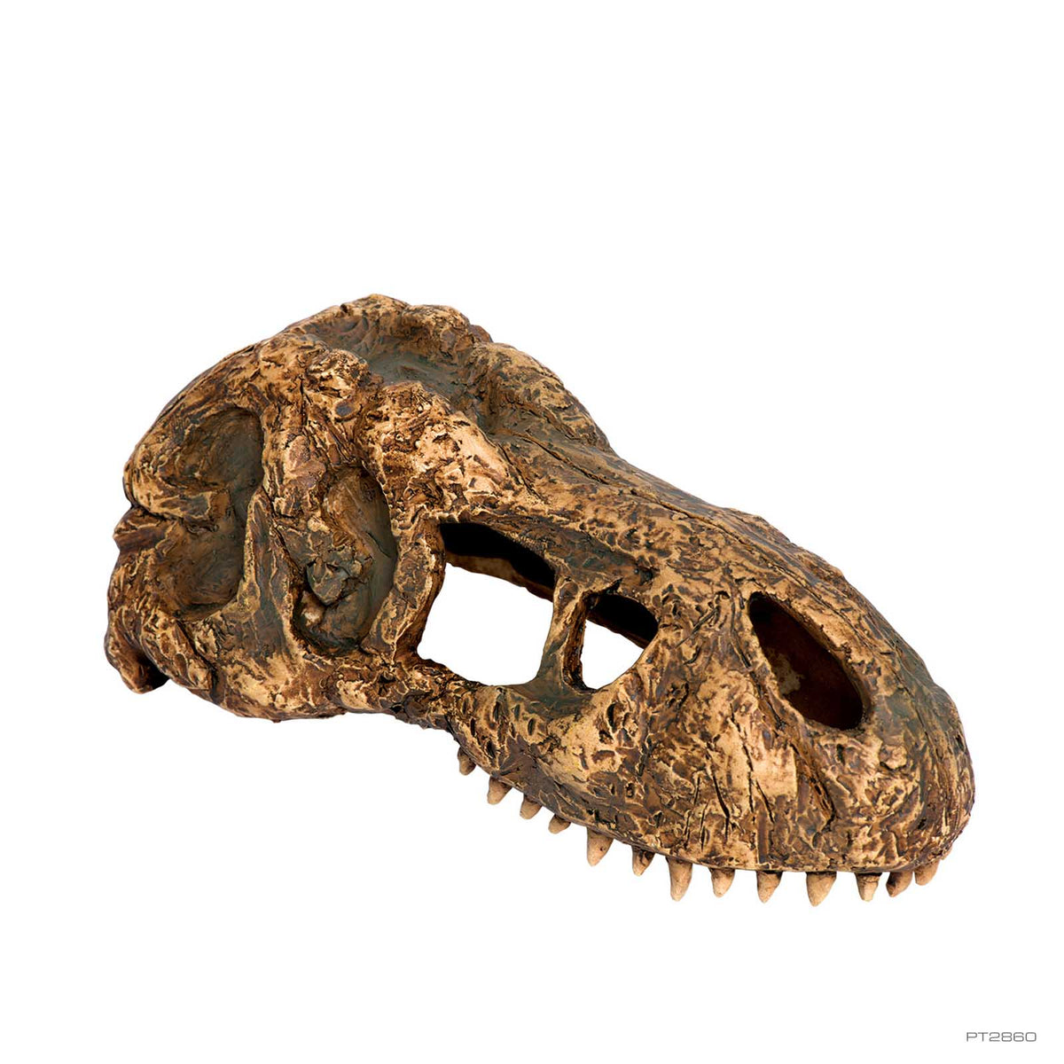 Exo Terra T-Rex Skull Hide Out Small PT2860 - 7 x 15.1 x 6.2cm | PeekAPaw Pet Supplies